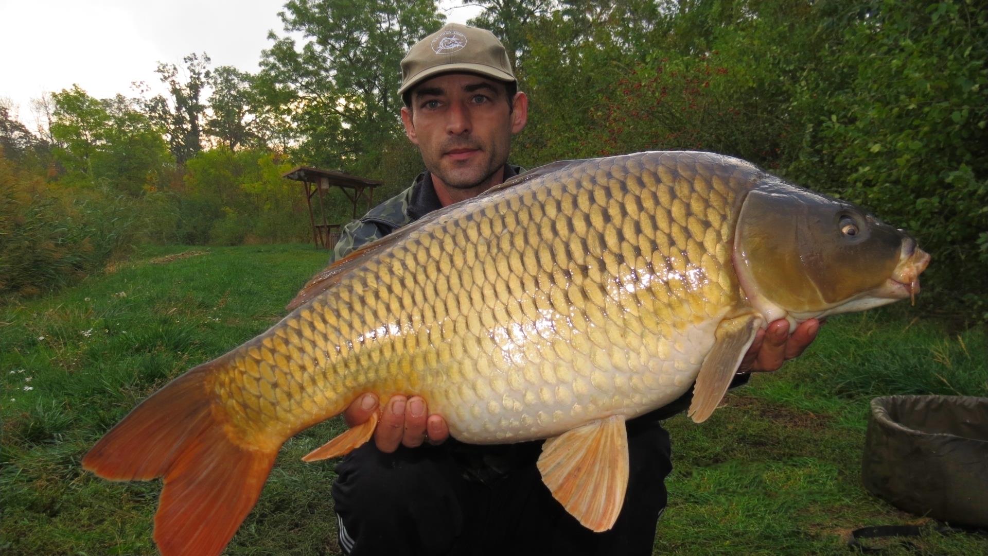 The best pictures of 2013 - 10,250